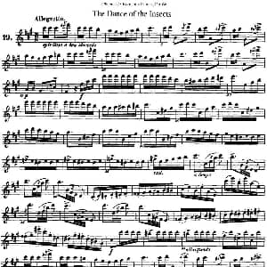 长笛曲谱 | 25首浪漫练习曲作品66号 NO.19 Kohler 柯勒