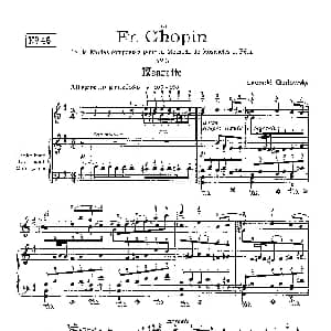 53首以肖邦练习曲为素材而作的练习曲 钢琴谱 里奥鲍尔德 戈多夫斯基