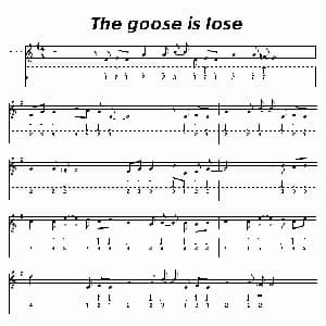 口琴谱 | The goose is lose 布鲁斯
