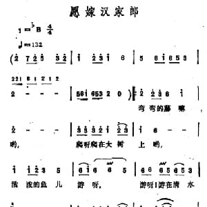 愿嫁汉家郎_通俗唱法乐谱