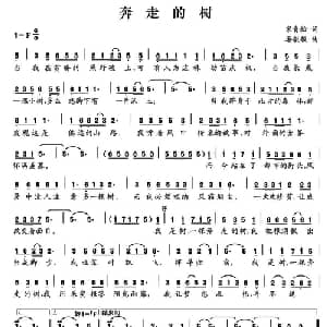 奔走的树_通俗唱法乐谱_词曲:宋青松 晏敏敏