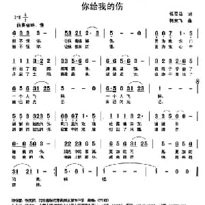 你给我的伤_通俗唱法乐谱_词曲:张灵茹 韩克非