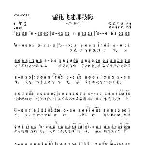 雪花飞过那枝梅_歌曲简谱_词曲:轻云望月 轻云望月