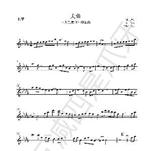 大鱼 长笛谱_歌谱投稿