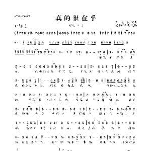 真的很在乎_歌曲简谱_词曲:张宏凯 张宏凯