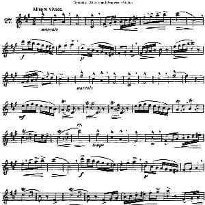 长笛曲谱 | 三十首基础及提高练习曲 NO.27 Garibold 加里波第