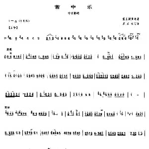 苦中乐 中音板胡
