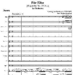 致爱丽丝 管弦乐总谱