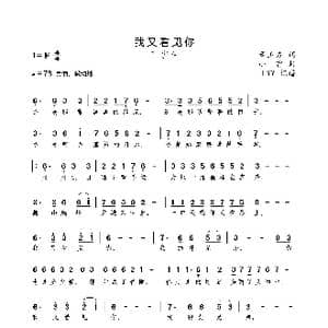 我又看见你_歌曲简谱_词曲:董玉方 小曾