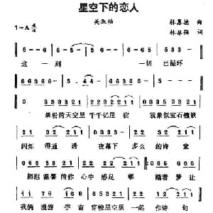 星空下的恋人_通俗唱法乐谱_词曲:林慕德 林振强