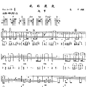 我的最爱 吉他谱 赵节 赵节 赵节