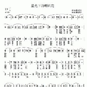 星光下的喇叭花_通俗唱法乐谱_词曲:雁北闲人 雁北闲人