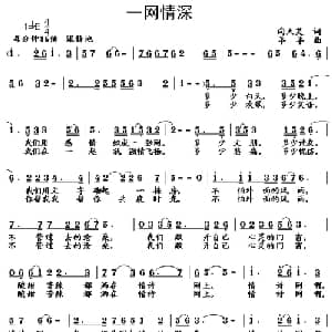 一网情深_通俗唱法乐谱_词曲:向天笑 羊羊