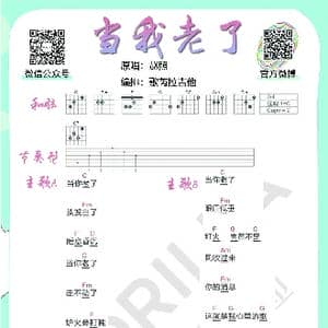 当我老了 赵照_歌谱投稿