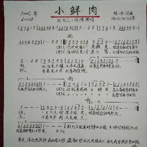 小鲜肉_歌谱投稿_词曲:陈伟 陈伟