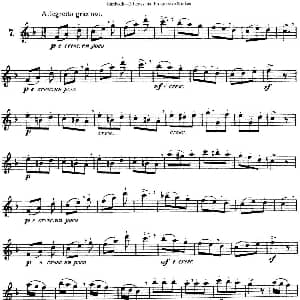 长笛曲谱 | 三十首基础及提高练习曲 NO.7 Garibold 加里波第