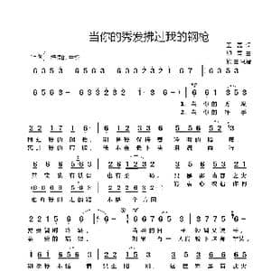 当你的秀发拂过我的钢枪_歌谱投稿_词曲:王磊 印青