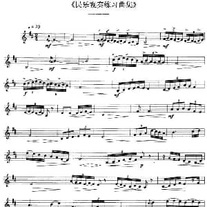 民乐视奏练习曲集 111—112