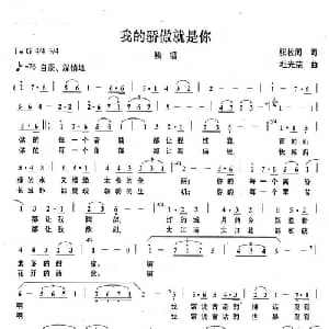 我的骄傲就是你_美声唱法乐谱_词曲:张枚同 杜光荣