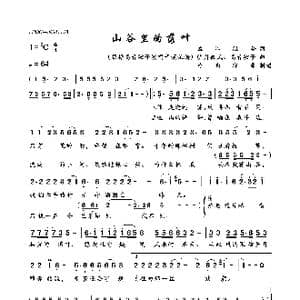 山谷里的落叶_歌曲简谱_词曲:孟江组合 明月微风 高音敏子