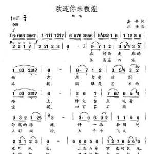 欢迎你来敦煌_民歌简谱_词曲:高平 庄壮