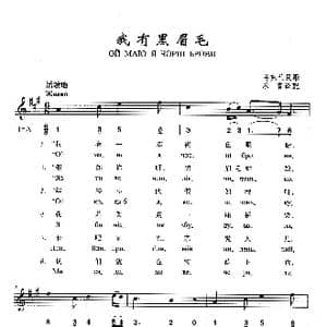 我有黑眉毛_歌曲简谱