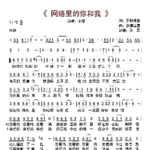 网络里的我和你_歌曲简谱_词曲:多情流星 多情流星