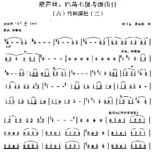 巴乌七级考级曲目 竹林深处 杨正玺 龚全国