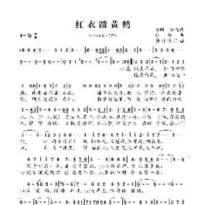 红衣踏黄鹤_歌曲简谱_词曲:原晞 淞晚 偃仰