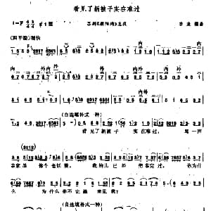 吕剧 看见了新被子实在难过 朝阳沟 选段 李渔 编曲