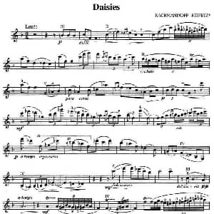 小提琴谱 | Daisies 雏菊