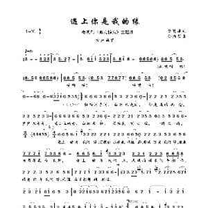 遇上你是我的缘_歌曲简谱_词曲:曾建雄 孙涌智