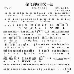 你飞到城市另一边_歌谱投稿_词曲:浪客秦昊 浪客秦昊