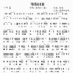 等你回来_歌谱投稿_词曲:张健 张健