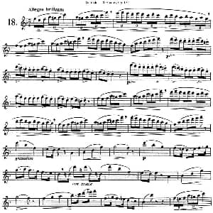 长笛曲谱 | 二十首练习曲作品132号之18 Garibold 加里波第