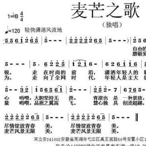麦芒之歌_民歌简谱_词曲:宋立安 张朱论