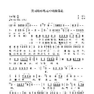 美丽的卓玛,心中的格桑花_歌曲简谱_词曲:袁龙 袁龙