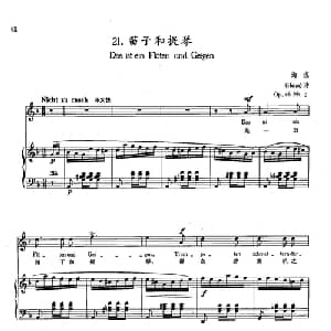 21笛子和提琴 德国 _外国歌谱_词曲:海涅 舒曼