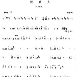 鹤乡人 巴乌谱 耿平堂