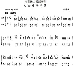二胡谱 | 许讲德二胡演奏曲 3.金珠玛米赞 二胡 扬琴 王竹林