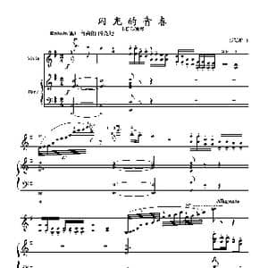 闪光的青春_歌曲简谱_词曲: 张延龄