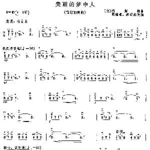 美丽的梦中人 高胡独奏