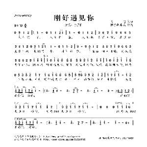 ​刚好遇见你_歌曲简谱_词曲:高进 高进