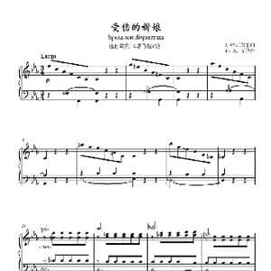 受伤的新娘 _歌谱投稿_词曲: A.维瓦尔第