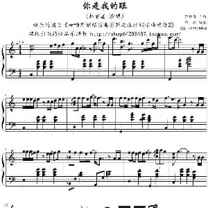 你是我的眼 钢琴谱 萧煌奇作曲 鸠玖