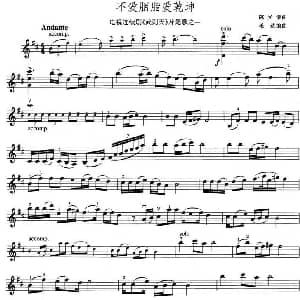 小提琴谱 | 不爱胭脂爱乾坤 电视剧 武则天 片尾歌之一