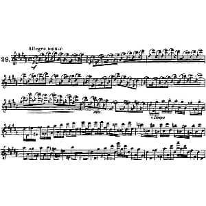 长笛曲谱 | 柯勒30首高级长笛练习曲作品75号 NO.29 Kohler 柯勒