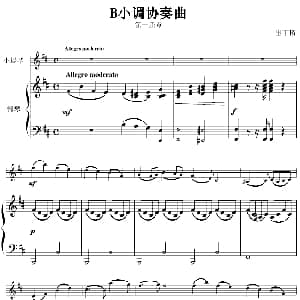 小提琴谱 | B小调协奏曲第一乐章 小提琴 钢琴