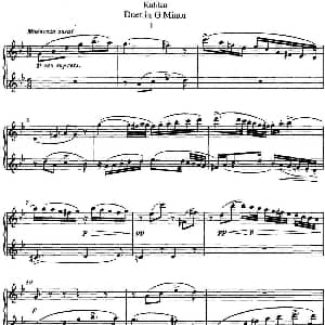 长笛曲谱 | 库劳g小调长笛二重奏练习曲 No.1 Kuhlau 库劳