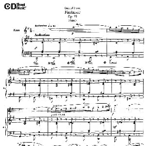 长笛曲谱 | Fantaisie Op.79 幻想曲 作品79号 长笛 钢琴伴奏 福列